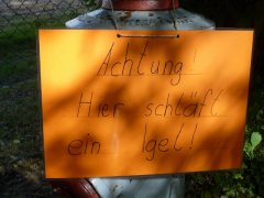 Ein Haus für einen Igel
