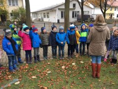 Sträucher im Schulgarten