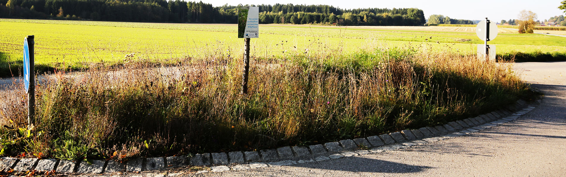 Header Althegnenberg (003)