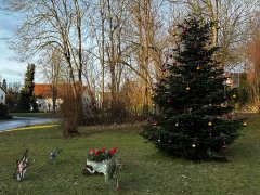 36615.jpg 36615.jpg