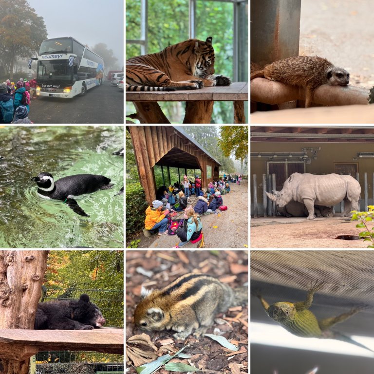 Zoo Zoo
